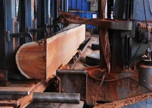 Cutting and Drying Wood for Taiko Drums