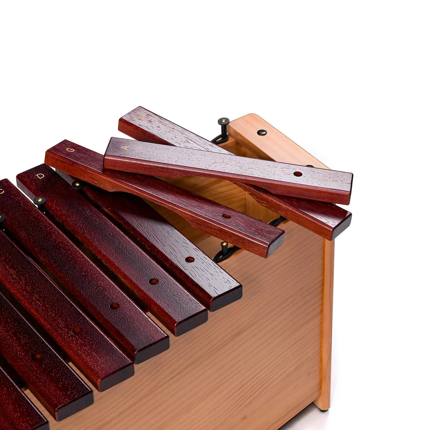 JINLEI box xylophone low pitch BXL-22 close-up showing removable rosewood accidental bars with gold letter markings and rubber mounting pins on natural wood box