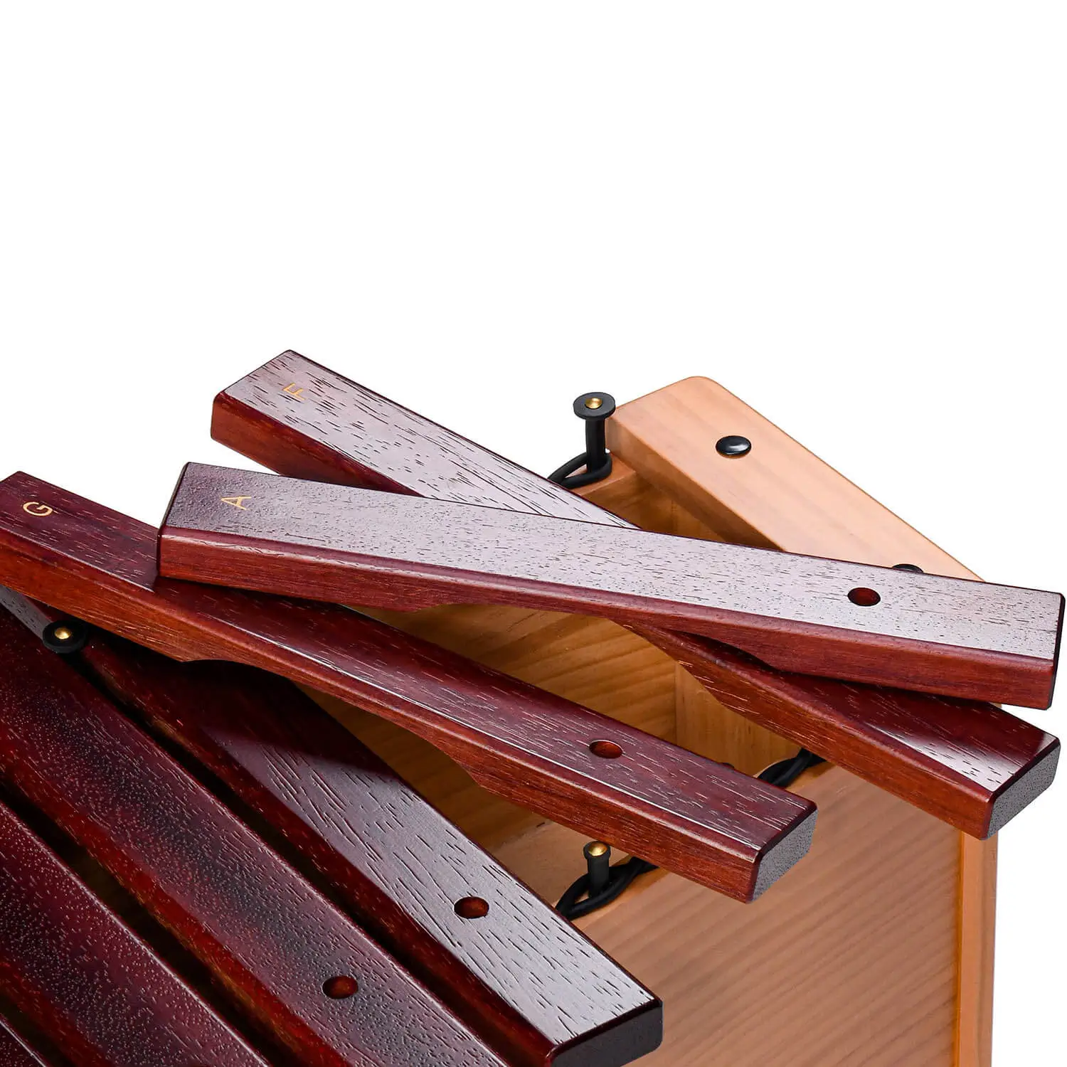 JINLEI box xylophone mid pitch BXM-16 close-up showing removable rosewood accidental bars with gold letter markings and rubber mounting pins on natural wood box
